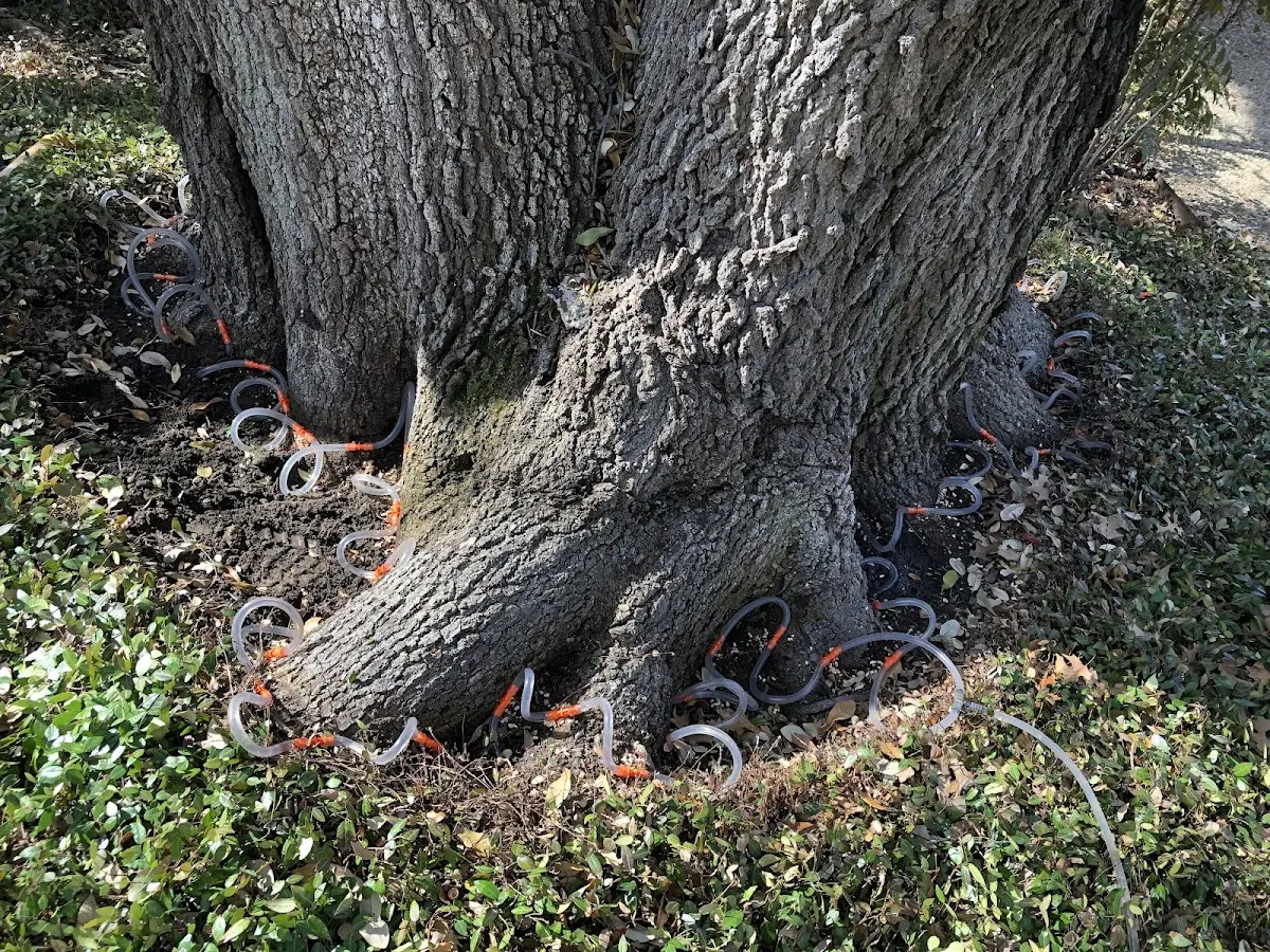 Detailed Shrub and Hedge Trimming job site in Manitou